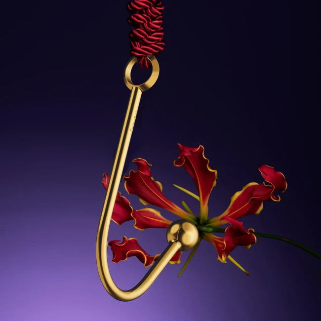 Вагинальный/анальный крючок «Vaginal/Anal Hook» от «UPKO» Вагинальный/анальный крючок «Vaginal/Anal Hook» от «UPKO»