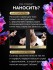 Концентрат феромонов для женщин Pheromax Oxytrust Woman 14 ML