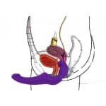 Безремневой страпон «SHARE» от «Fun Factory» Безремневой страпон «SHARE» от «Fun Factory»