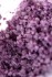 Соль Мертвого моря для ванны с цветочным ароматом «Aphrodisia» от «SHUNGA» (75 гр.)