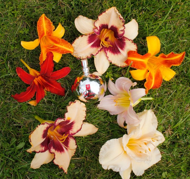 Антибактериальный очищающий спрей «Gjuice Toy Cleaner» от «Gvibe» (60 ML)