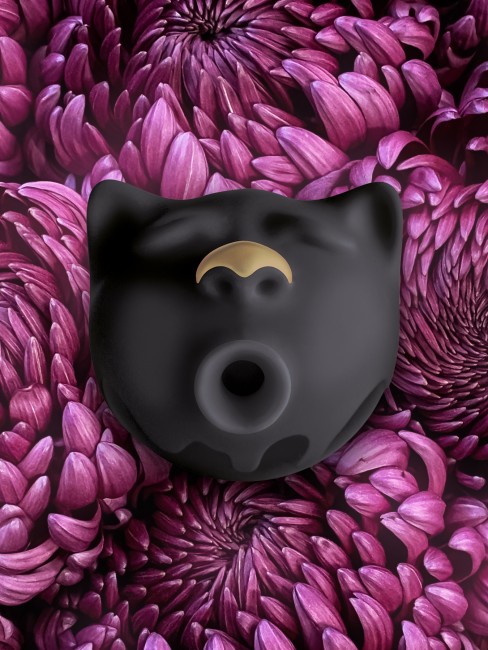 Вакуумный стимулятор клитора «Gcat» от «Gvibe»   Вакуумный стимулятор клитора «Gcat» от «Gvibe»