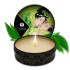 Массажная свеча ( Зеленый чай) Massage Candle (Shunga)