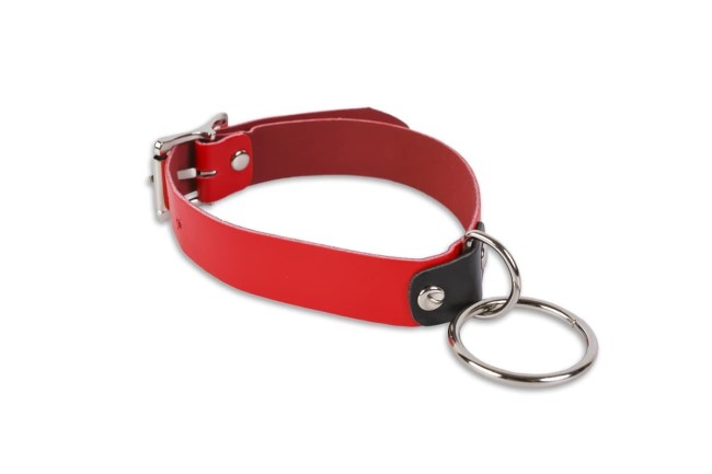  Красный ошейник с колечком