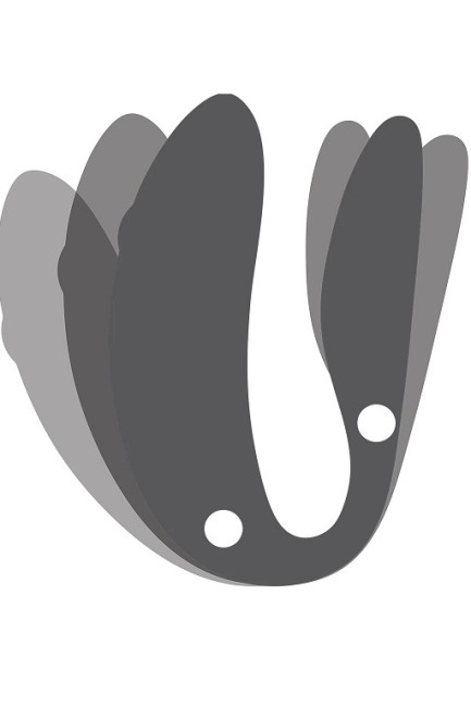 Интуитивный вибратор для пар «Chorus» от «We-vibe»