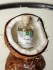 Массажный гель с согревающим эффектом и вкусом кокоса «Coconut Massage Gel» от «Intt» (30 ML)