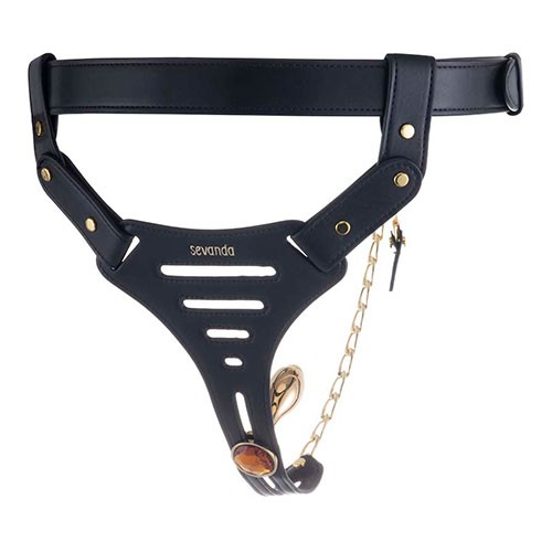 Женские трусики верности «Beg & Ask» от «LOCKINK» (размер L)