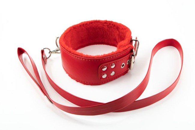 Ошейник с поводком Ошейник с поводком