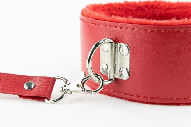 Ошейник с поводком Ошейник с поводком