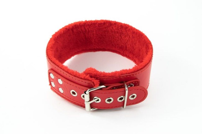 Ошейник с поводком Ошейник с поводком