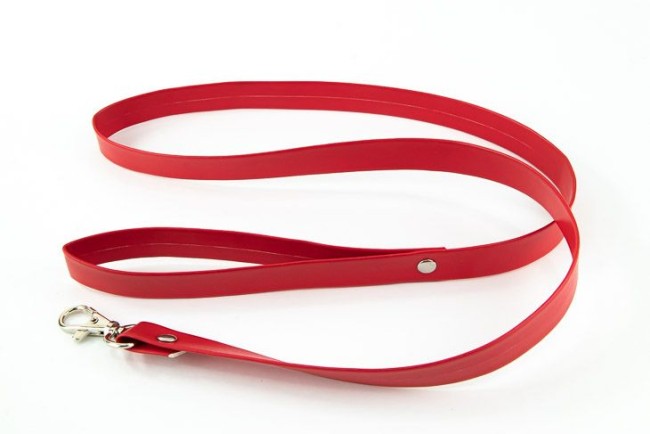 Ошейник с поводком Ошейник с поводком