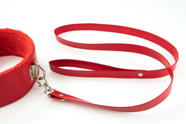 Ошейник с поводком Ошейник с поводком