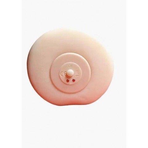 Реалистичный мастурбатор в виде вагины и половых губ «Elaine»