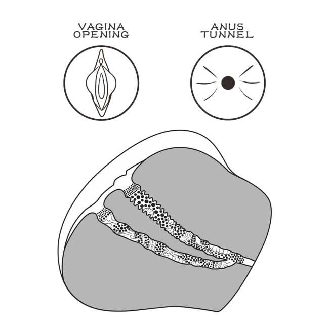 Тёмный мастурбатор «Streetgirls № 4» от «Lovetoy» (вагина+анус) Тёмный мастурбатор «Streetgirls № 4» от «Lovetoy» (вагина+анус)