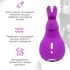 Клиторальный вибратор «Mini Ears» от «Happy Rabbit» (фиолетовый) Клиторальный вибратор «Mini Ears» от «Happy Rabbit» (фиолетовый)