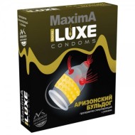 Презервативы Luxe Maxima Аризонский Бульдог (1 шт.) Презервативы Luxe Maxima Аризонский Бульдог (1 шт.)