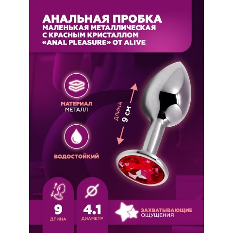 Маленькая металлическая анальная пробка с красным кристаллом «Anal Pleasure» от «Alive» (L: 9*4,1 см) Маленькая металлическая анальная пробка с красным кристаллом «Anal Pleasure» от «Alive» (L: 9*4,1 см)
