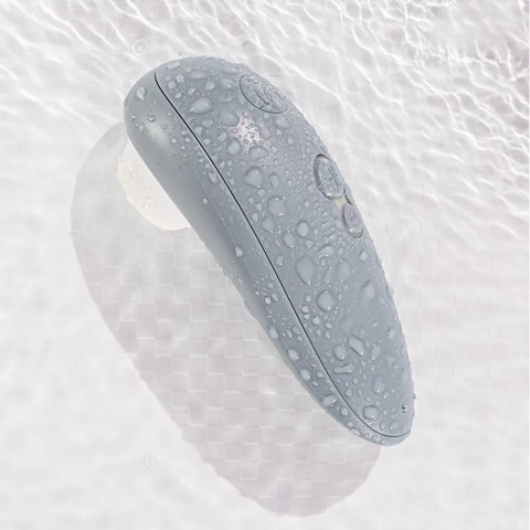 Серый клиторальный стимулятор «Starlet 3» от «Womanizer»